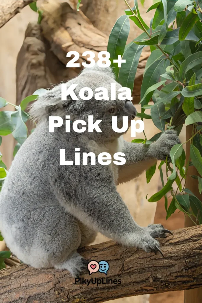 Koala Pick Up Lines